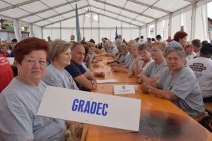 Županijski susret umirovljenika 16.06.2018 (22)